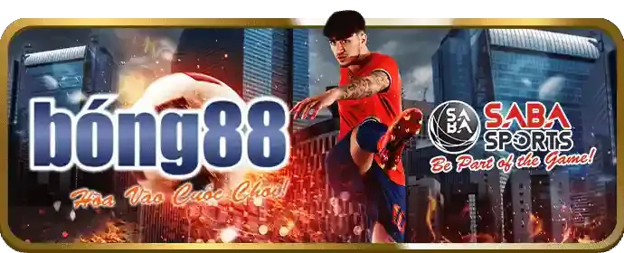 Chương trình hoàn trả cược thể thao hàng tuần